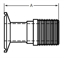Picture of ADAPTER CLAMP X MNPT T304 #7 3.625 OAL